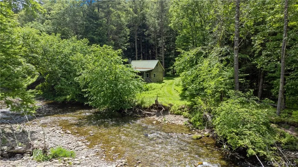 56 Saw Mill Road Claryville, NY 12725