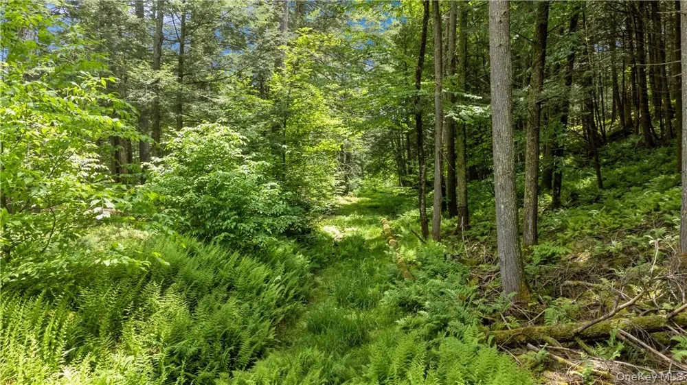 56 Saw Mill Road Claryville, NY 12725