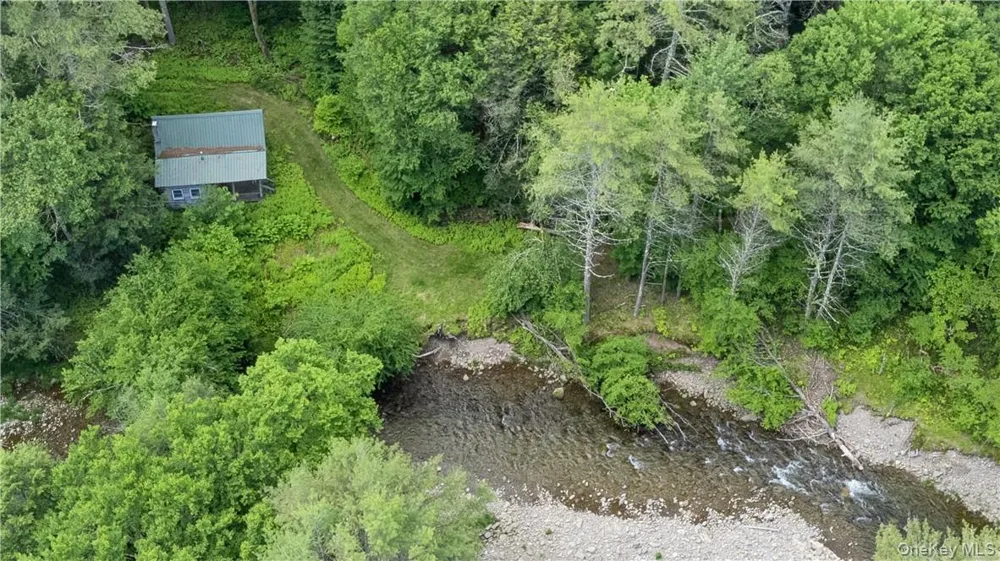 56 Saw Mill Road Claryville, NY 12725