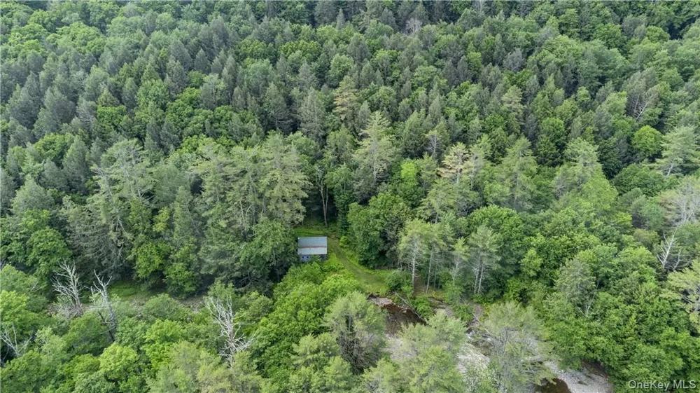 56 Saw Mill Road Claryville, NY 12725