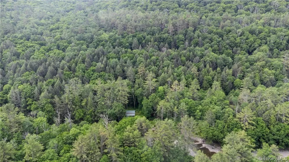 56 Saw Mill Road Claryville, NY 12725
