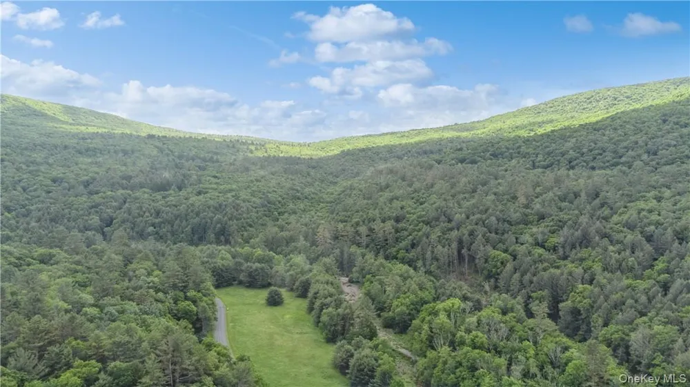 56 Saw Mill Road Claryville, NY 12725