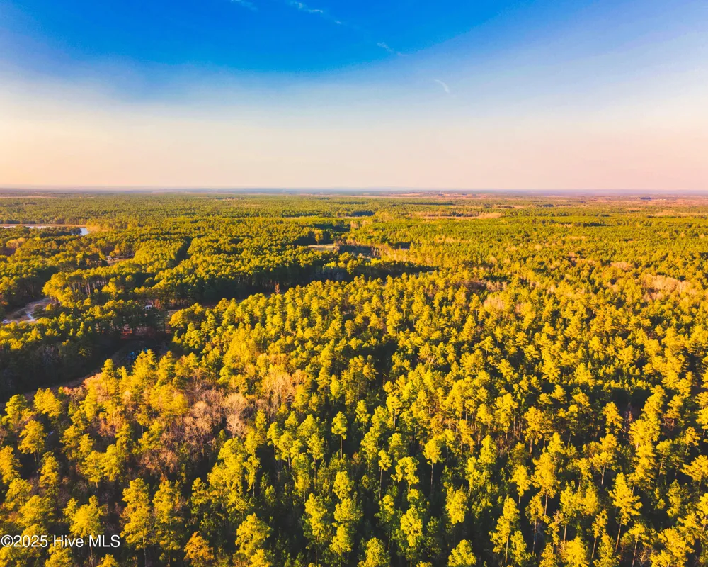 Trt 8 Peach Orchard Road Wagram, NC 28396