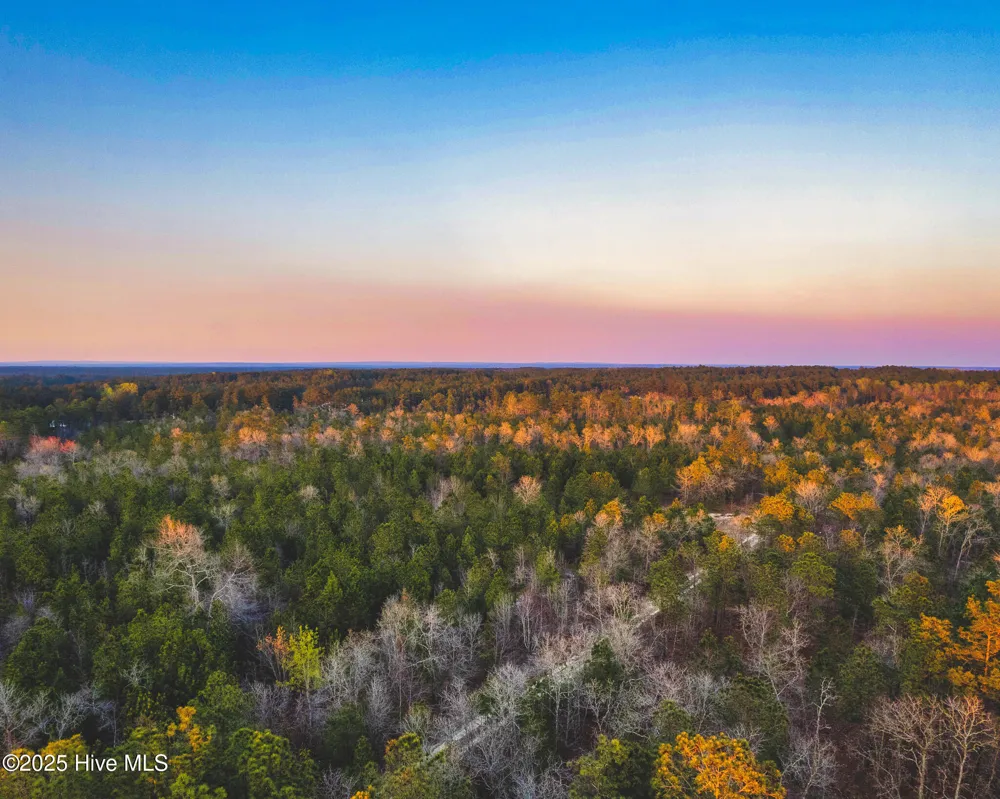 Hwy 15/501 Wagram, NC 28396