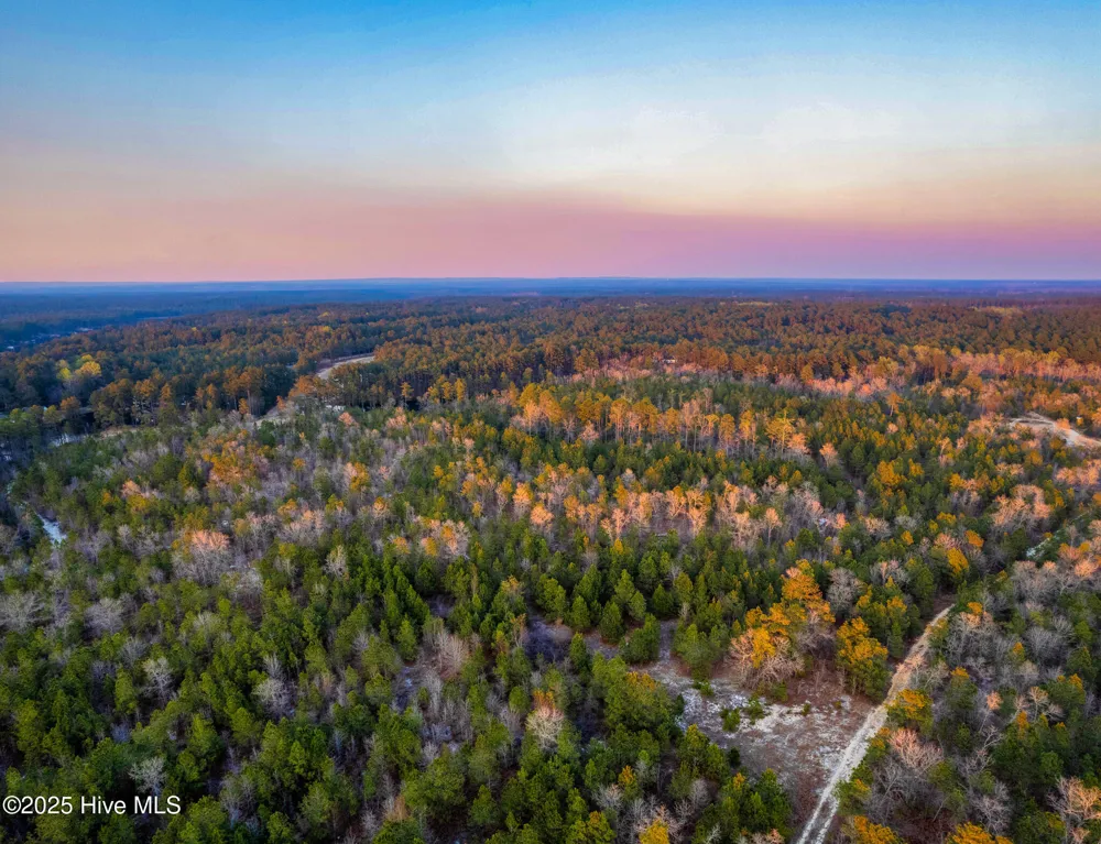 Hwy 15/501 Wagram, NC 28396