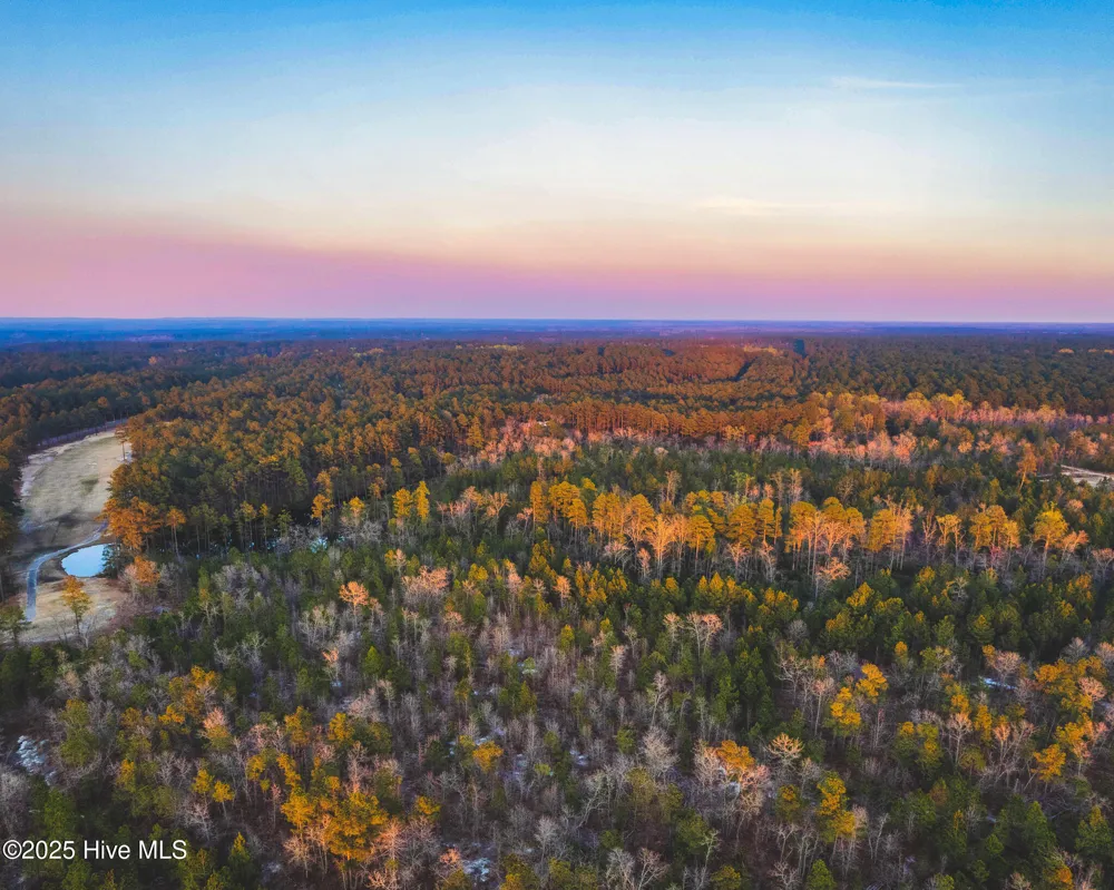Hwy 15/501 Wagram, NC 28396