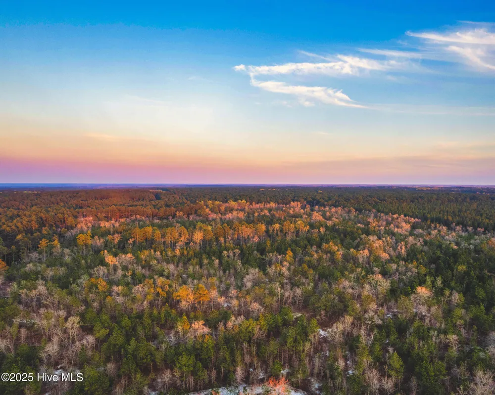Hwy 15/501 Wagram, NC 28396