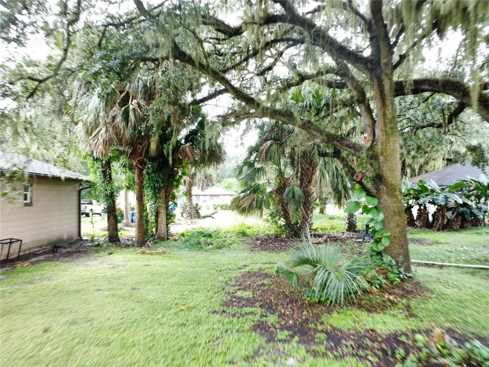 188 MARY STREET Winter Garden, FL 34787