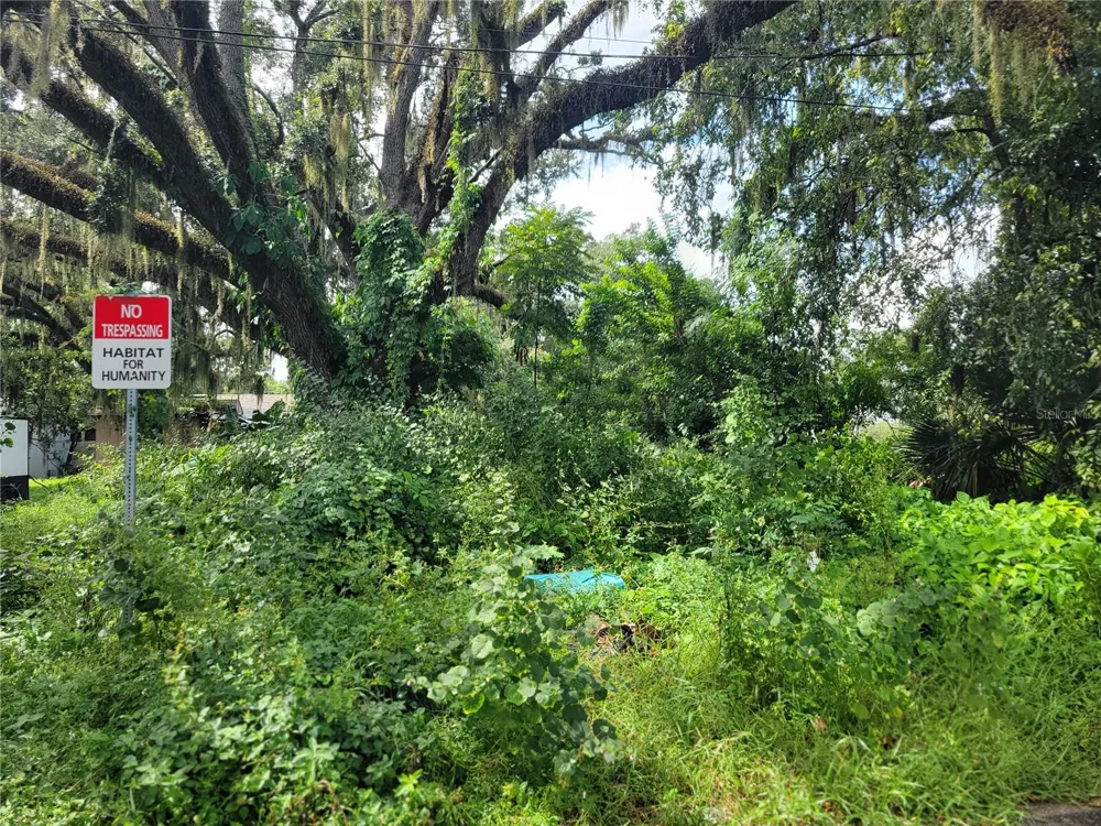 188 MARY STREET Winter Garden, FL 34787