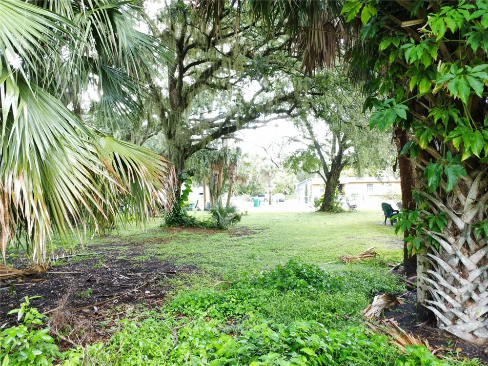 188 MARY STREET Winter Garden, FL 34787