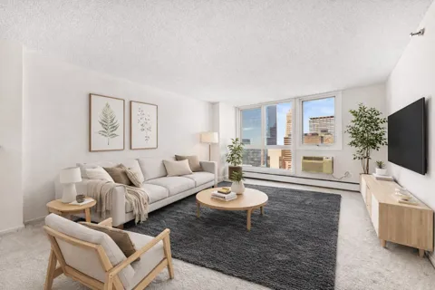 433 S 7th Street #1821