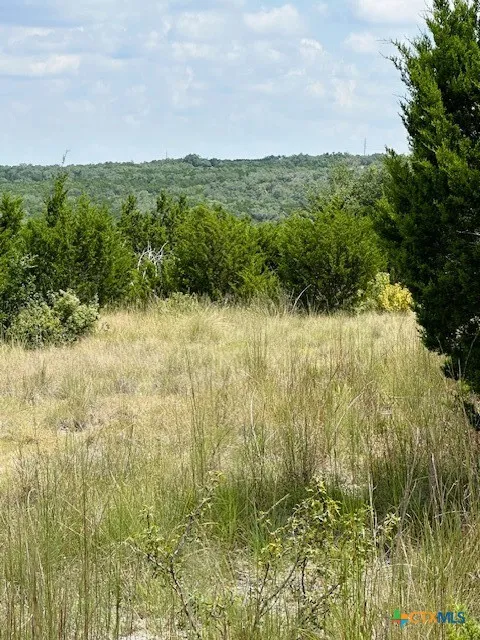 1 Soaring Eagle Fischer, TX 78623