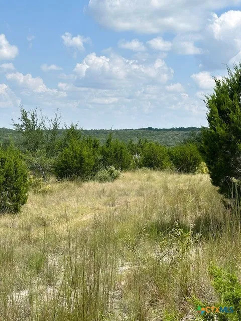 1 Soaring Eagle Fischer, TX 78623