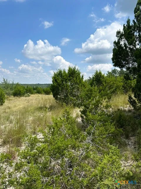 1 Soaring Eagle Fischer, TX 78623