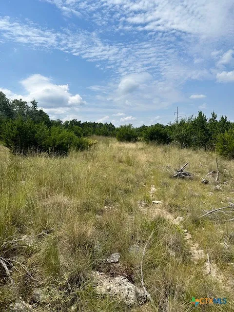1 Soaring Eagle Fischer, TX 78623