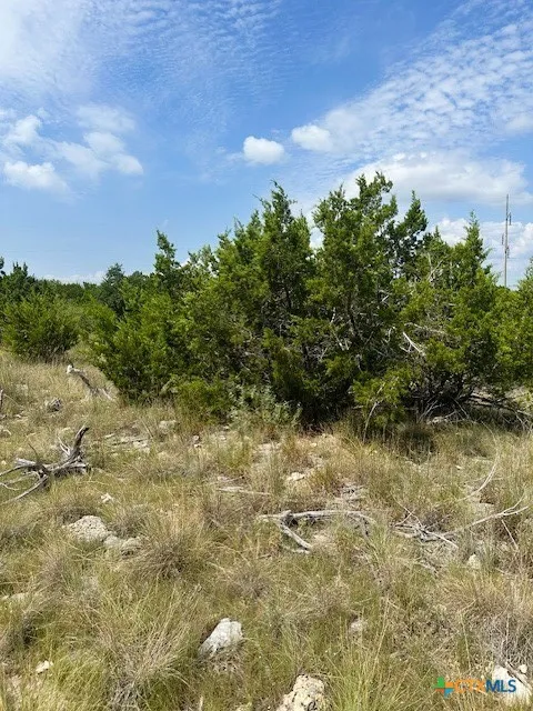 1 Soaring Eagle Fischer, TX 78623