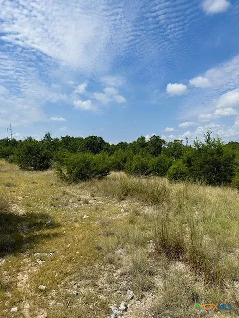 1 Soaring Eagle Fischer, TX 78623