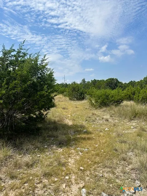 1 Soaring Eagle Fischer, TX 78623