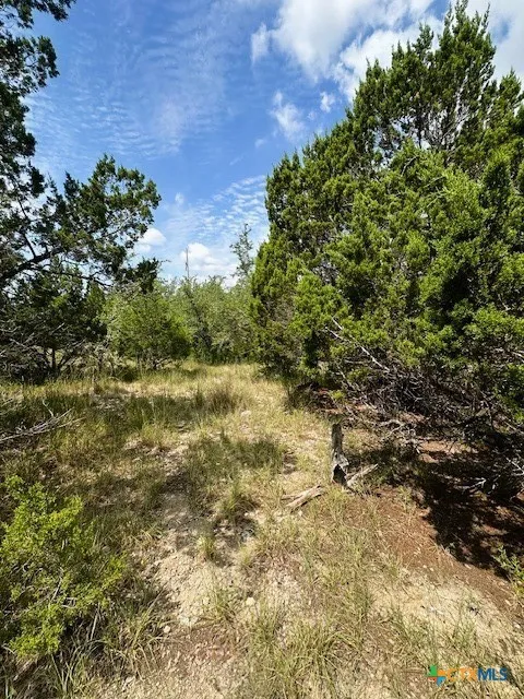 1 Soaring Eagle Fischer, TX 78623