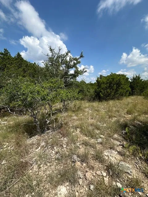 2 Soaring Eagle Fischer, TX 78623