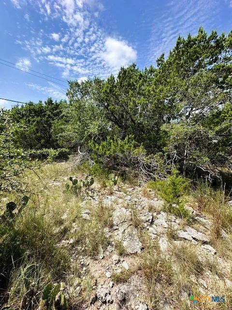 2 Soaring Eagle Fischer, TX 78623