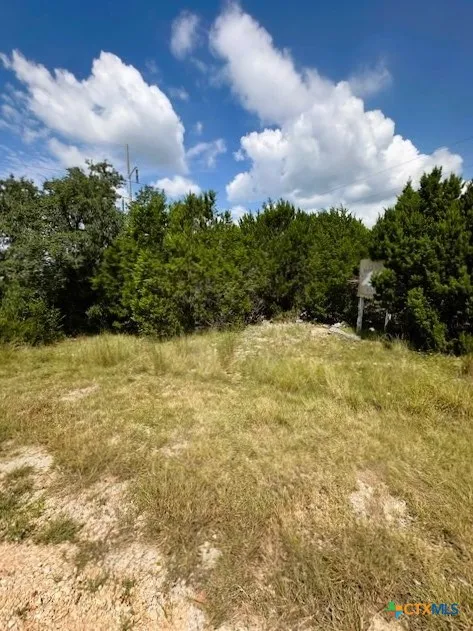 2 Soaring Eagle Fischer, TX 78623