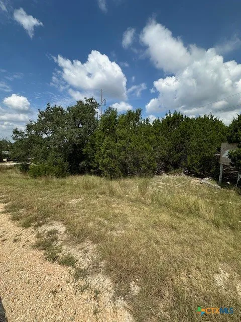 2 Soaring Eagle Fischer, TX 78623