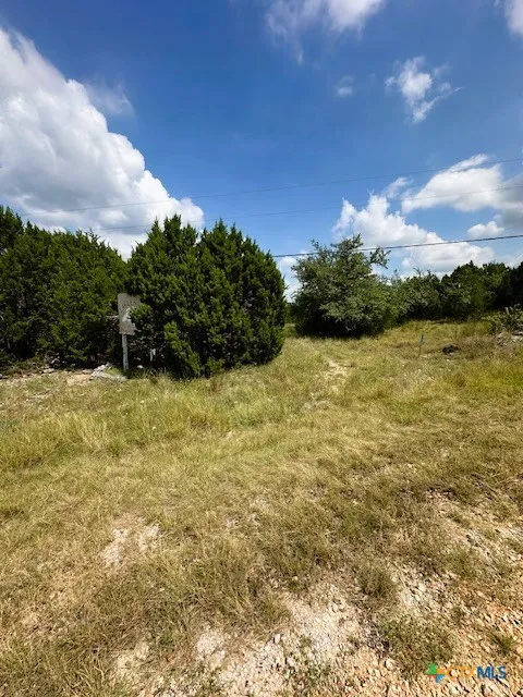 2 Soaring Eagle Fischer, TX 78623