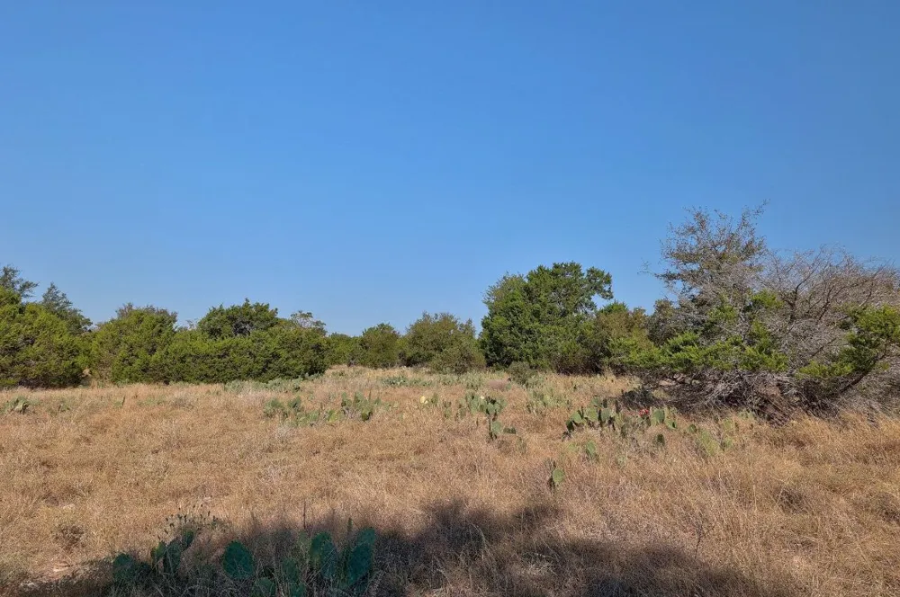 123 Appaloosa Cove Jarrell, TX 76537