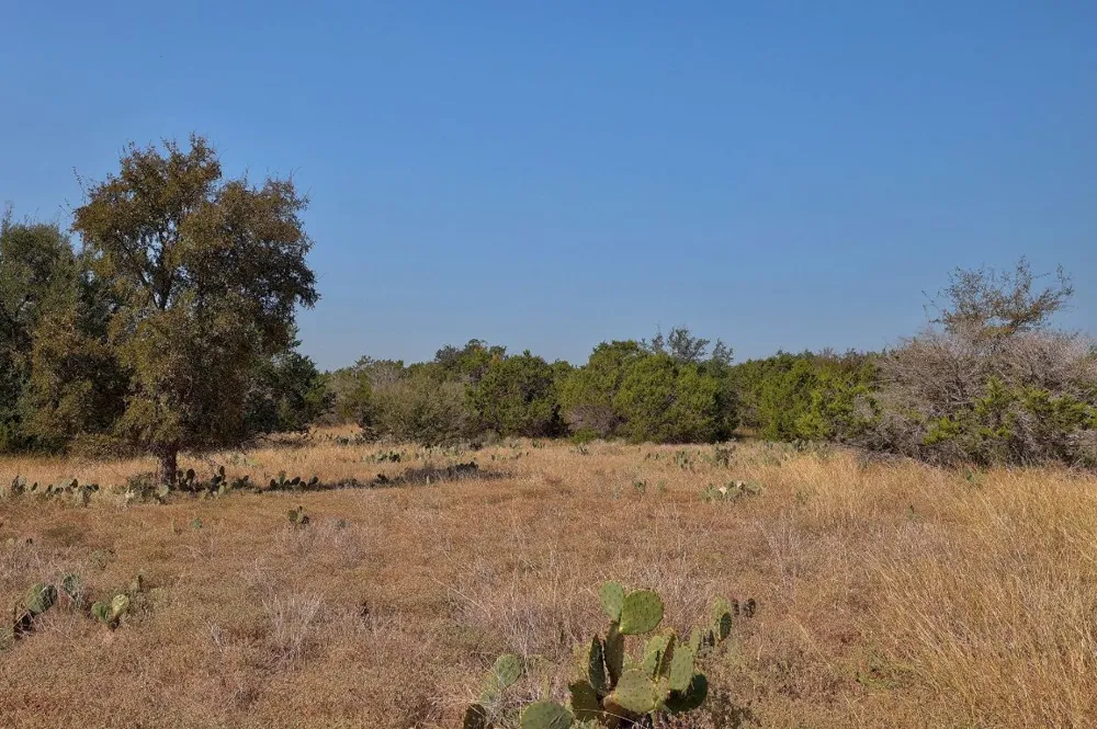 123 Appaloosa Cove Jarrell, TX 76537