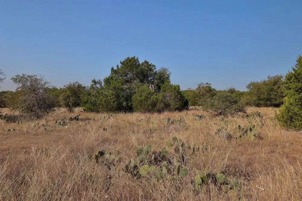 123 Appaloosa Cove Jarrell, TX 76537