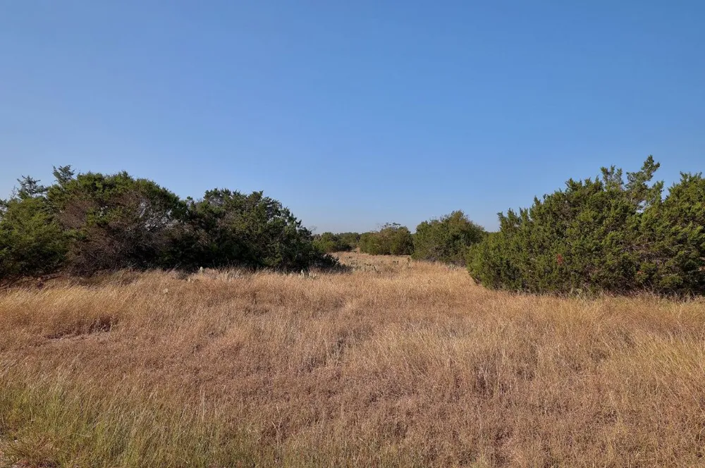 123 Appaloosa Cove Jarrell, TX 76537