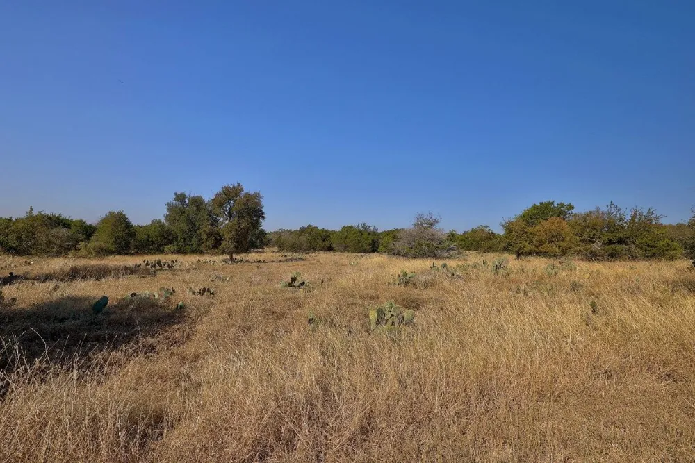 123 Appaloosa Cove Jarrell, TX 76537