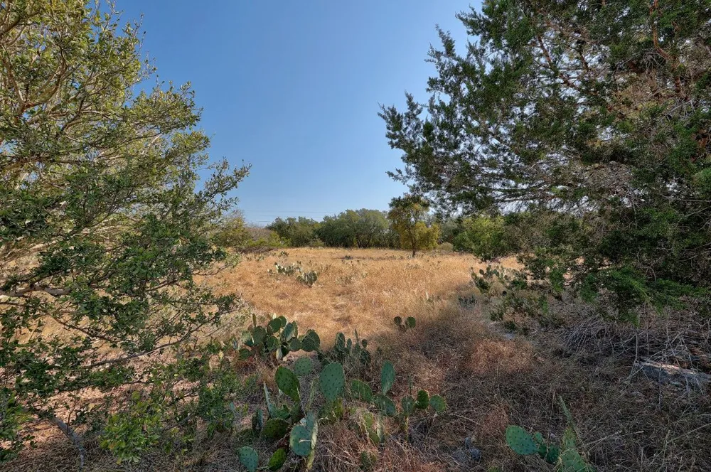 123 Appaloosa Cove Jarrell, TX 76537