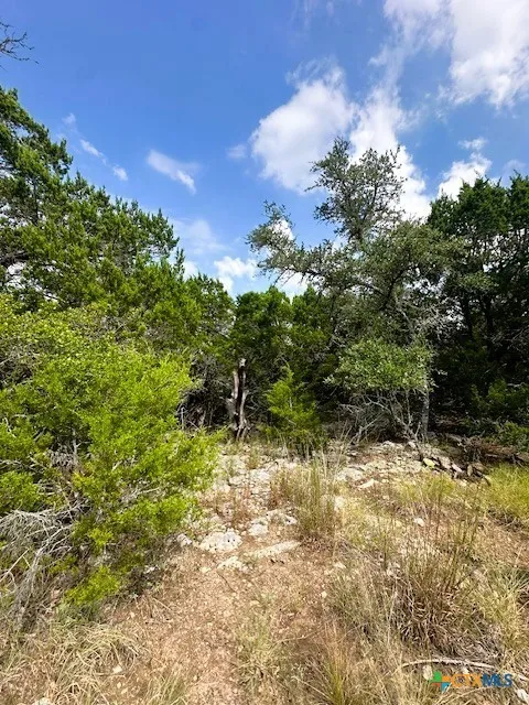 4 Royal Eagle Dr Fischer, TX 78623