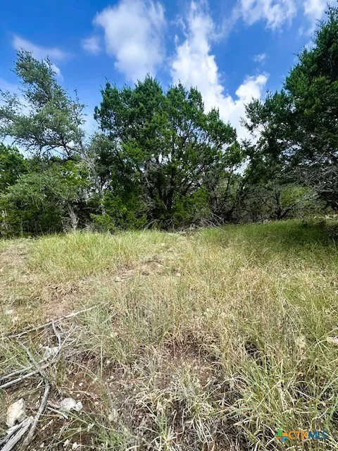 4 Royal Eagle Dr Fischer, TX 78623