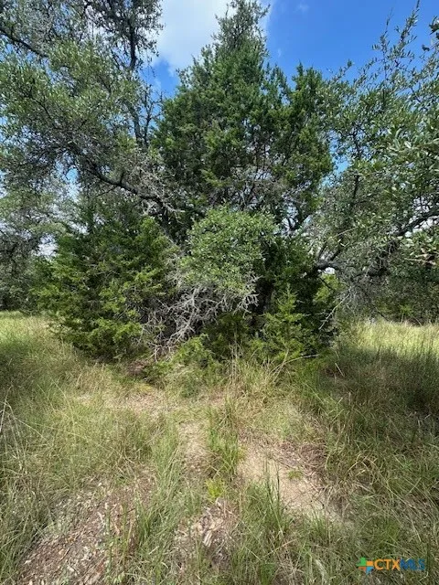 4 Royal Eagle Dr Fischer, TX 78623