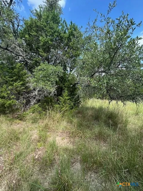 4 Royal Eagle Dr Fischer, TX 78623