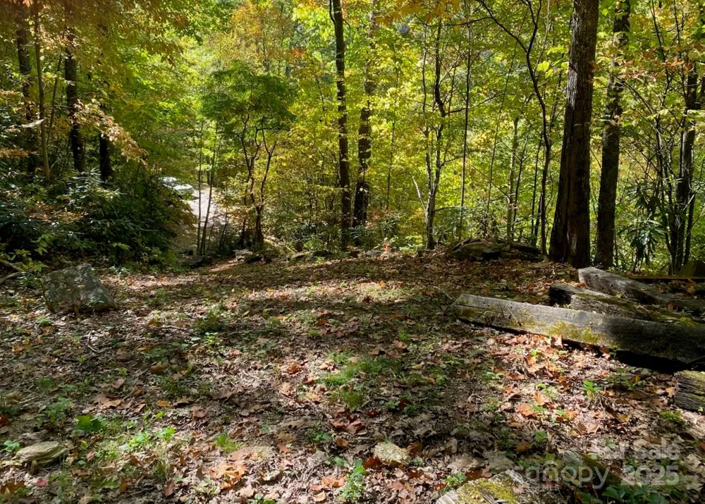 Lot A38 Tawodi Trail #A38 Maggie Valley, NC 28751
