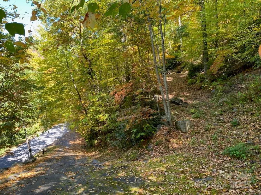 Lot A38 Tawodi Trail #A38 Maggie Valley, NC 28751