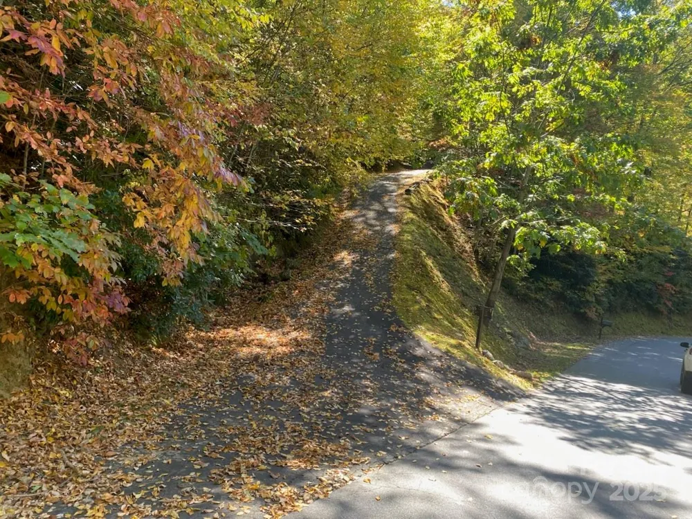 Lot A38 Tawodi Trail #A38 Maggie Valley, NC 28751