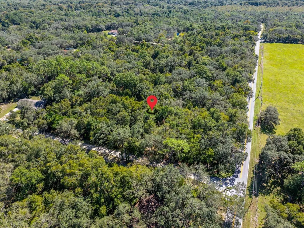 11420 E STEAMBOAT DRIVE Floral City, FL 34436