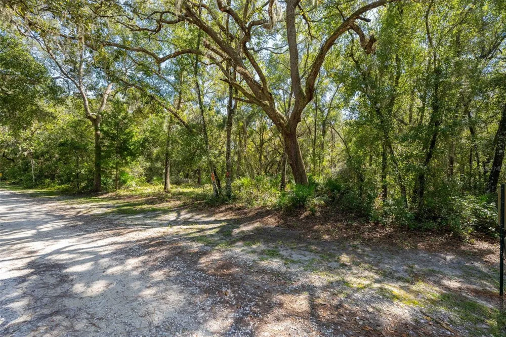 11420 E STEAMBOAT DRIVE Floral City, FL 34436