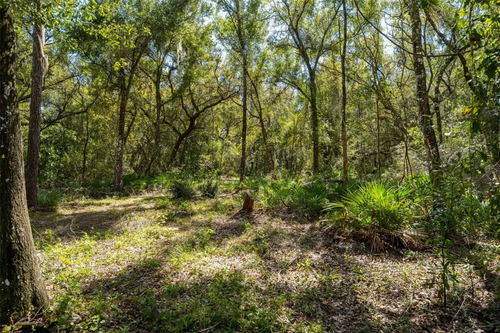 11420 E STEAMBOAT DRIVE Floral City, FL 34436