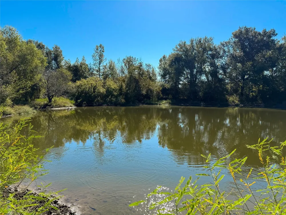 Pr 2150 Oakwood, TX 75855