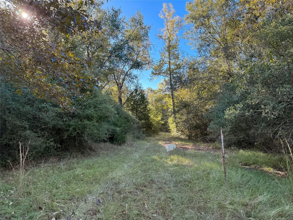 Pr 2150 Oakwood, TX 75855
