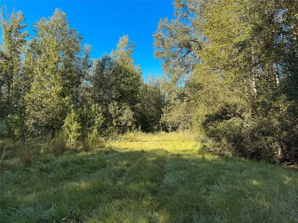 Pr 2150 Oakwood, TX 75855