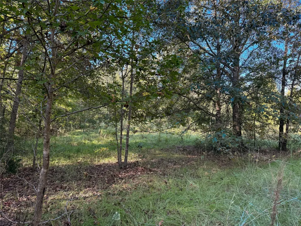 Pr 2150 Oakwood, TX 75855
