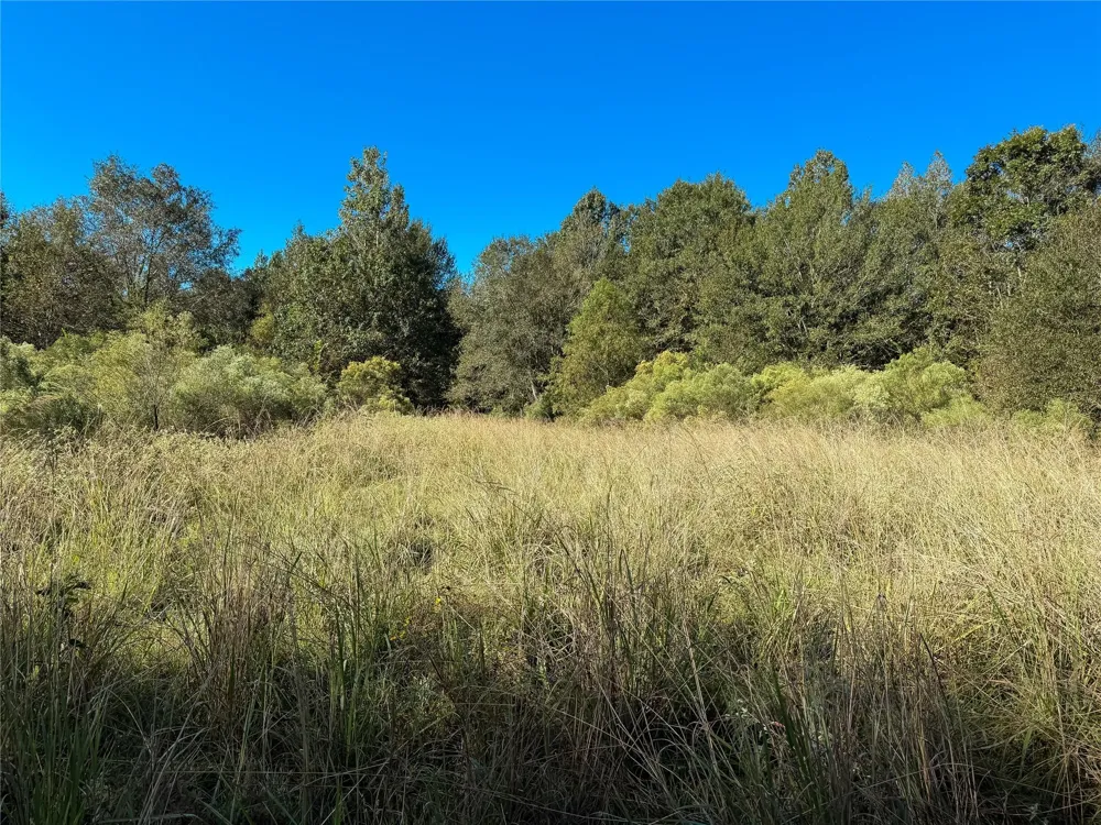 Pr 2150 Oakwood, TX 75855