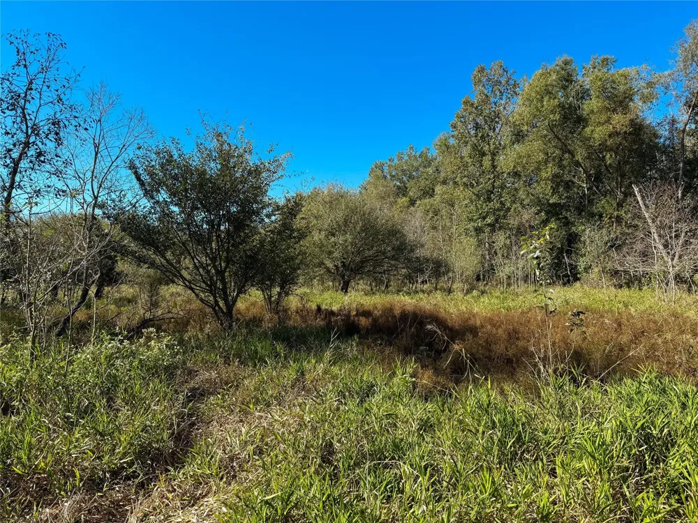 Pr 2150 Oakwood, TX 75855